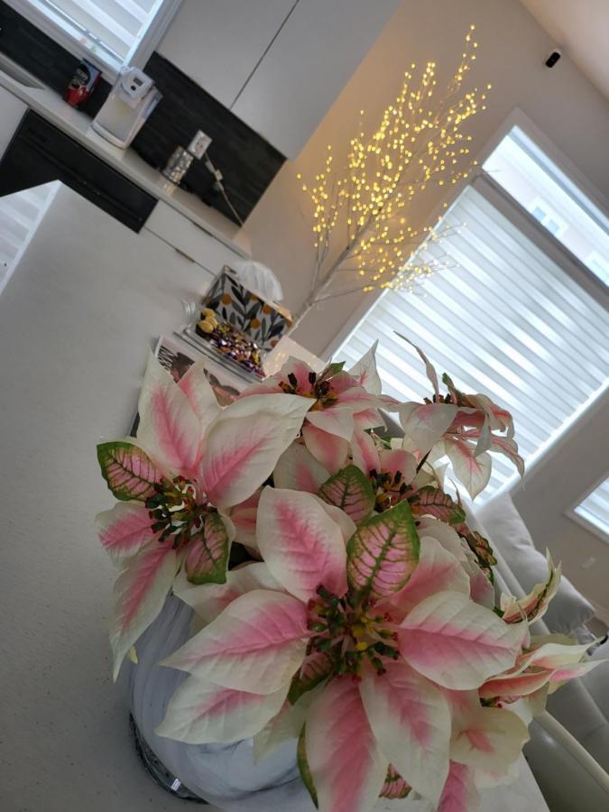 Bliss-Home Ottawa Ngoại thất bức ảnh